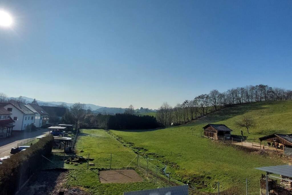 Grosse Tolle 4 Zimmer Ferienwohnung Im Herzen Des Odenwaldes Mörlenbach Exterior foto