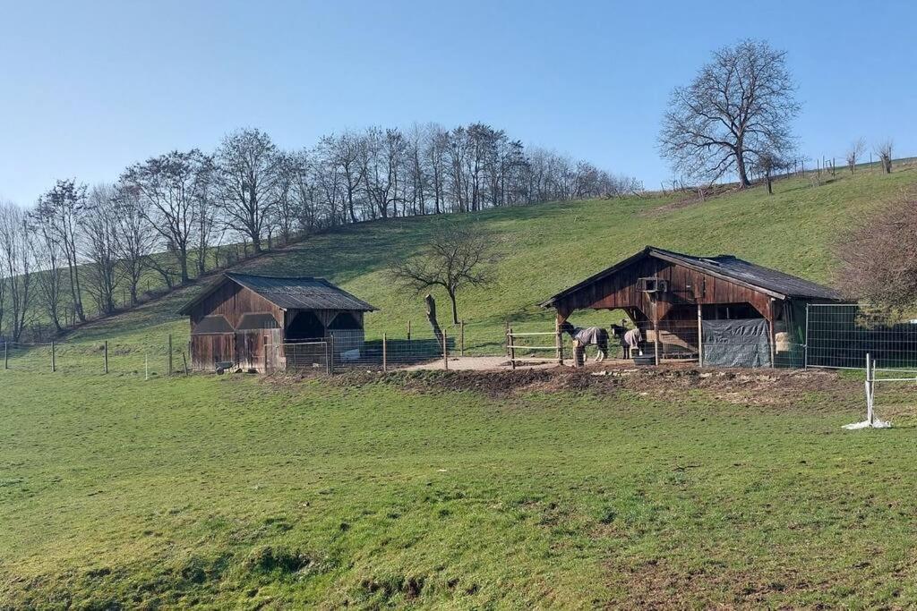 Grosse Tolle 4 Zimmer Ferienwohnung Im Herzen Des Odenwaldes Mörlenbach Exterior foto